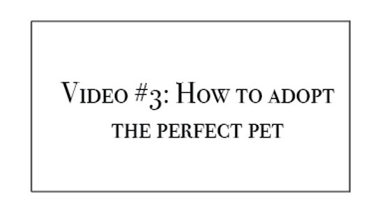 Demo Video: How to Adopt an Animal